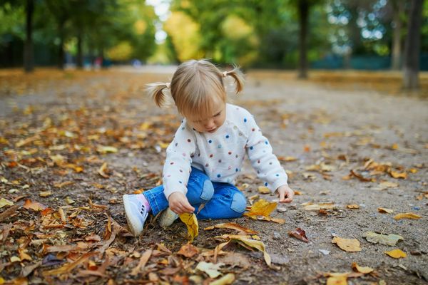 Why Your Child s Brain is like a Sponge